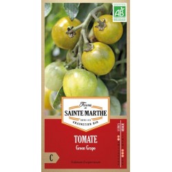 Bio-Samenbeutel Tomate Green Grape AB mit reifen grünen Kirschtomaten an der Pflanze