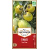 Bio-Samenbeutel Tomate Green Grape AB mit reifen grünen Kirschtomaten an der Pflanze