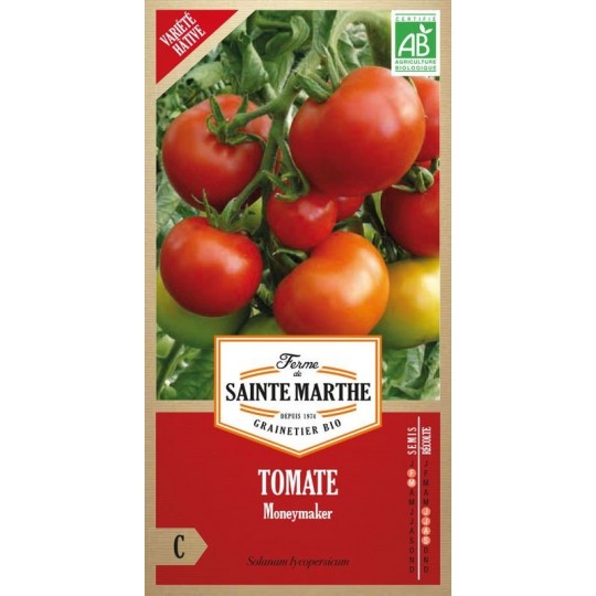 Bio-Samenbeutel Tomate Moneymaker von La Ferme Sainte Marthe mit reifen roten Tomaten an der Pflanze