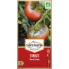 Reifende Bio-Tomaten Noire de Crimée an der Pflanze, alte zertifizierte AB-Sorte mit süßen purpurfarbenen Früchten