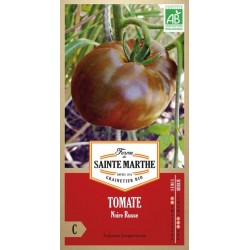 Tomate Noire Russe AB