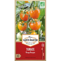Biologischer Samenbeutel Tomate Orange Bourgoin mit reifen orangen Früchten an der Pflanze
