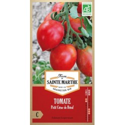 Tomate Petit Coeur de Boeuf AB