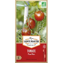 Bio-Samenbeutel Tomate Prune Noire von La Ferme Sainte Marthe, alte nachbaufähige Sorte