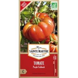 Tomate Purple Calabash AB