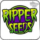 Ripper Seeds