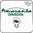 Qu'est-ce que les graines Amaranta Seeds ? C'est Doctor Jamaïca, Amarant...