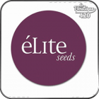Elite Seeds