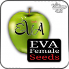 Eva Female Seeds