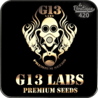 G13 Labs