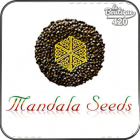 Mandala Seeds