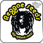 Reggae Seeds