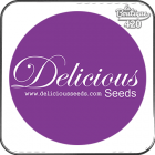 Delicious Seeds | Graines de cannabis Premium