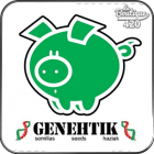 Genehtik