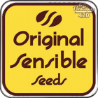 Original Sensible Seeds Samen