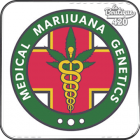 Medical Marijuana Seeds