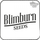 Blimburn Seeds