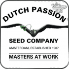 Dutch Passion