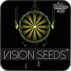 Vision Seeds : une variété de graines de grande qualité et de grande stabilité