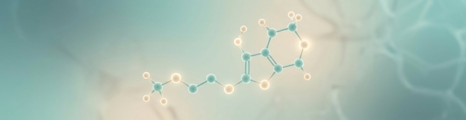 Modèle moléculaire de l'anandamide, premier endocannabinoïde identifié par Lumír Hanuš