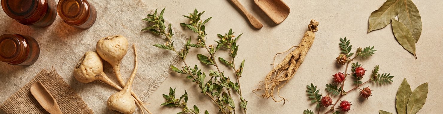 Aphrodisiaques naturels : maca, damiana, ginseng et CBD pour la libido