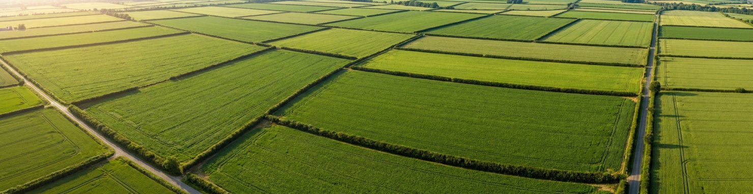 Vue aérienne de parcelles de chanvre à travers la campagne européenne