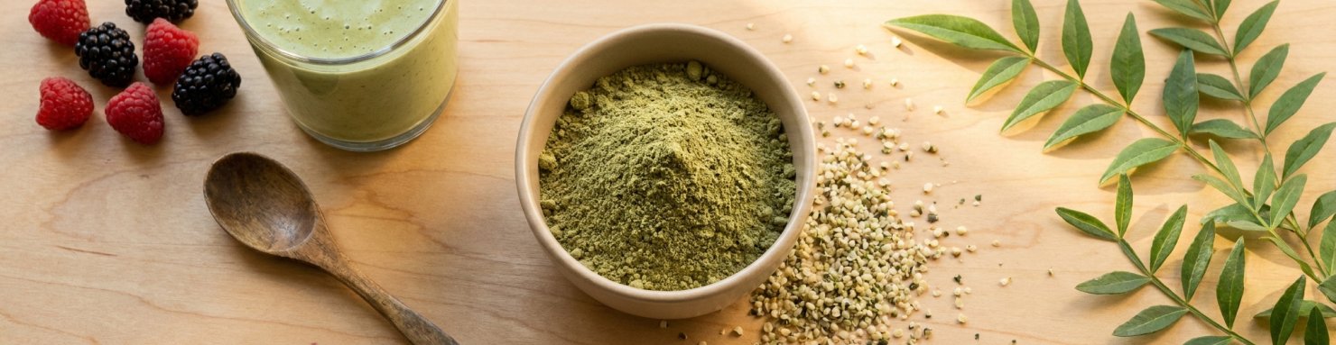 Bol de protéine de chanvre en poudre avec graines décortiquées, bienfaits acides aminés oméga-3