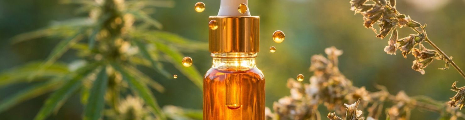 Huile de CBD ambree sur fond de chanvre naturel, alternative legale au THC en France