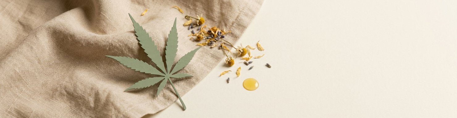 Système endocannabinoïde et CBD : mécanismes d'action sur la libido et le désir