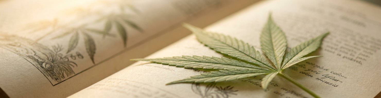 Types de douleurs dorsales étudiées avec le CBD : musculaire, inflammatoire, neuropathique et mixte