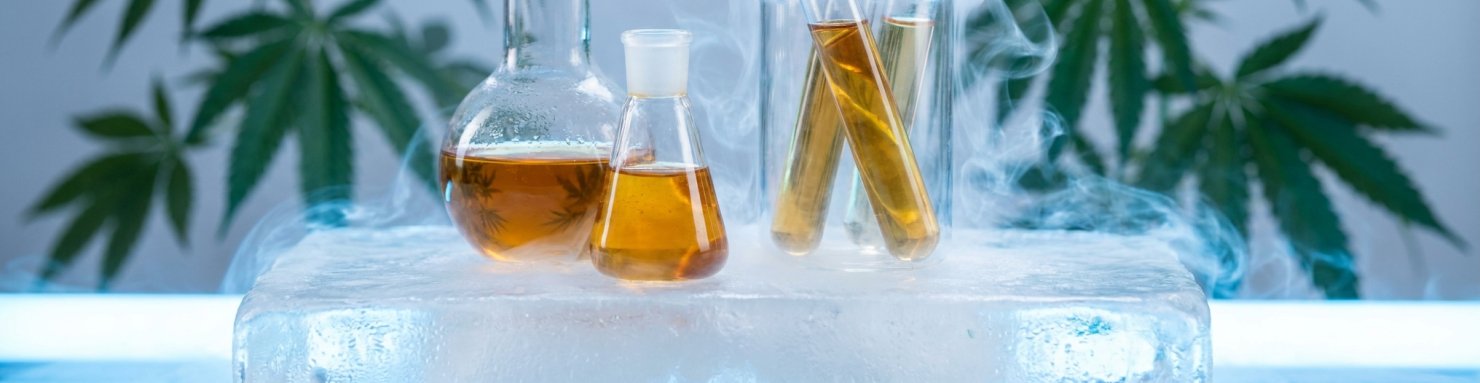 Extraction a froid trichomes resine - preservation CBGa cannabinoide acide