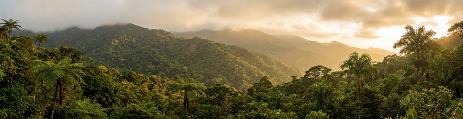 Montagnes de la Sierra Nevada de Santa Marta, berceau de la Colombian Gold