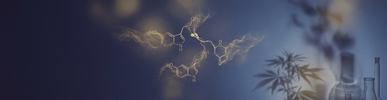 Déficit endocannabinoïde et migraine, anandamide dans le système endocannabinoïde