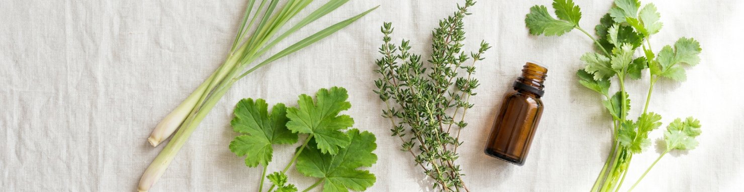 Plantes et huiles essentielles riches en géraniol : citronnelle, géranium, thym