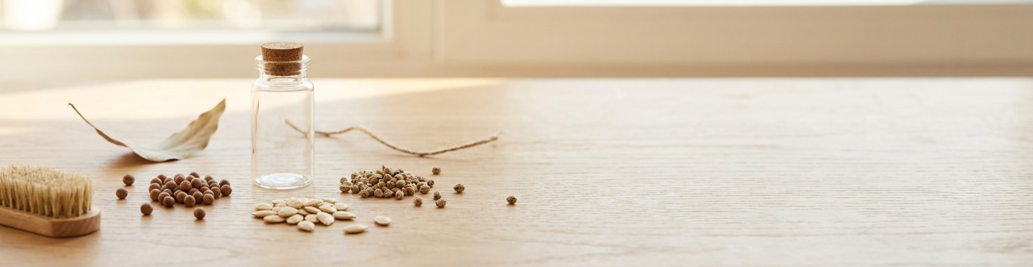 Graines de collection botanique disposées près d'un petit flacon en verre