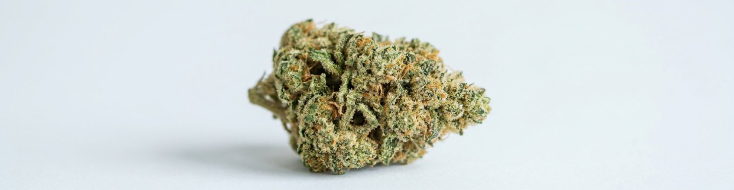 Fleur de cannabis résineuse au profil terpénique contenant du guaiol