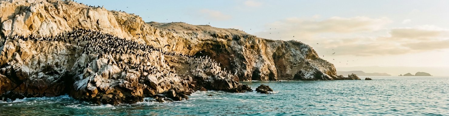 Île rocheuse aride du littoral péruvien couverte de dépôts de guano et d'une colonie d'oiseaux marins