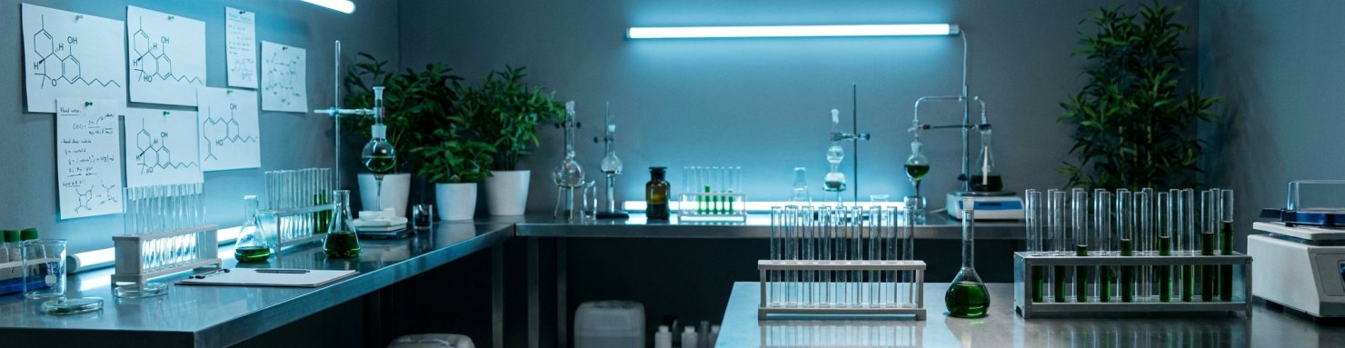 Laboratoire moderne de pharmacologie cannabinoide heritage de Mechoulam