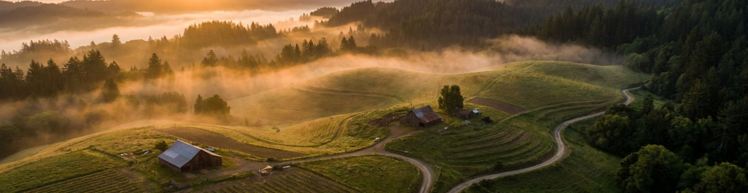 Paysage du Triangle d'Émeraude en Californie du Nord, berceau historique du patrimoine génétique cannabis californien