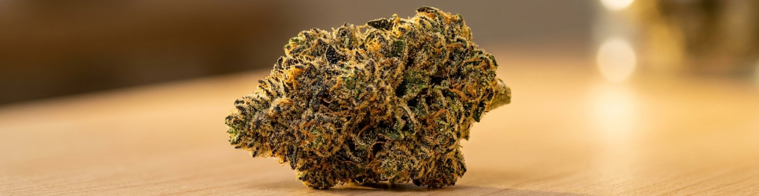 Jealousy strain élue Leafly Strain of the Year 2022 dans la culture cannabis californienne