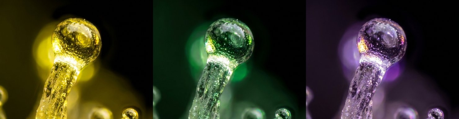 Profil terpenique Kush Mints : limonene caryophyllene linalool