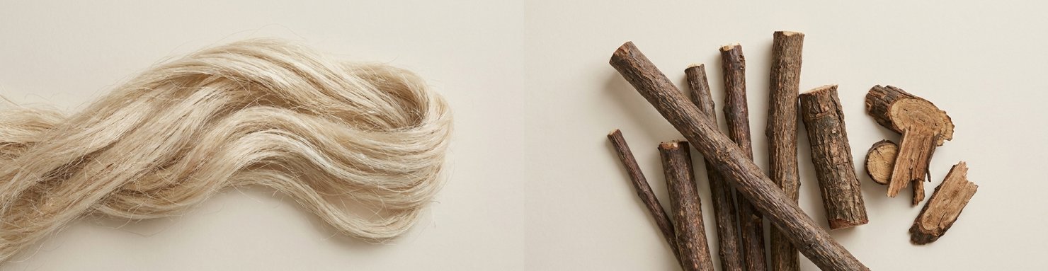 Comparaison des fibres de cellulose et de la matière ligneuse riche en lignine