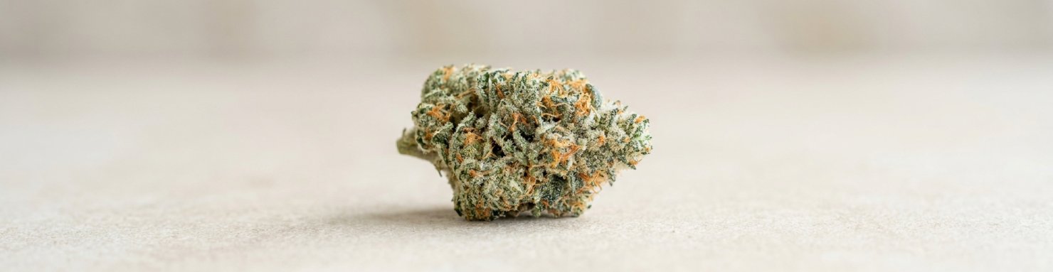 Fleur de cannabis MAC couverte de résine et de trichomes