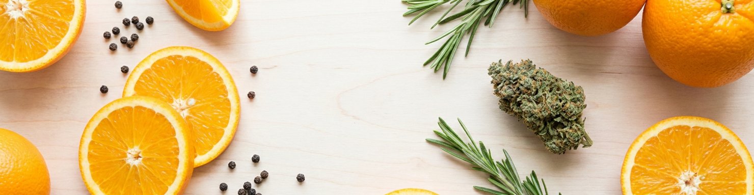 Profil aromatique de la MAC : agrumes, poivre et notes florales