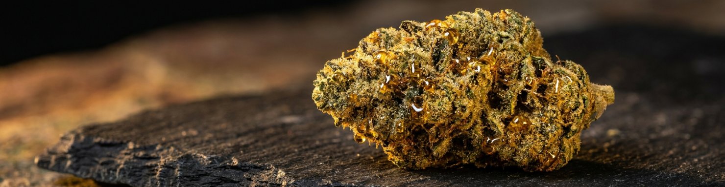 Composition d'un moon rocks cannabis : tête florale enrobée d'huile concentrée et de kief doré