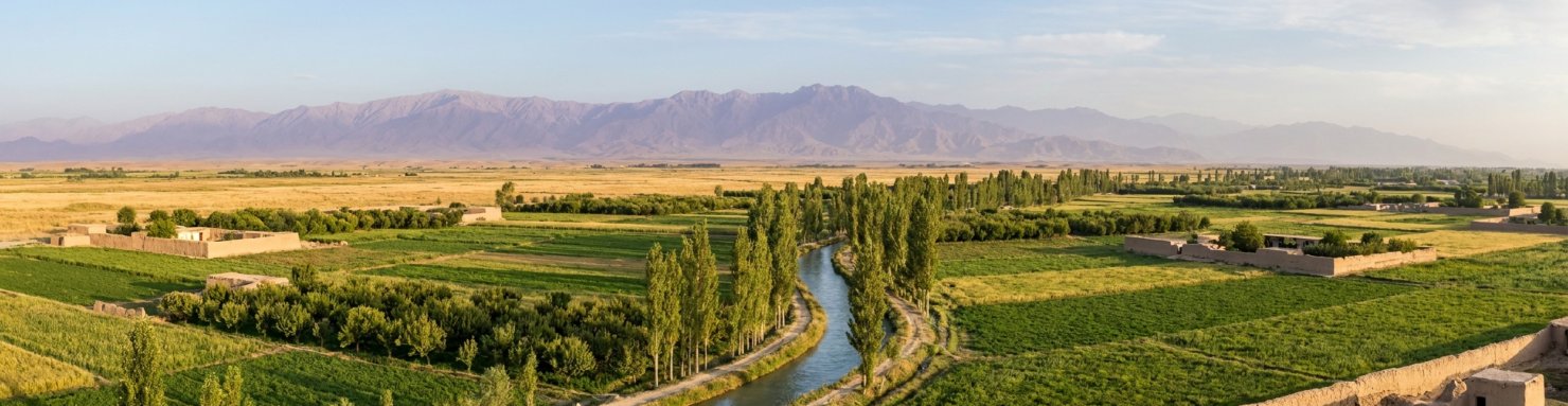 Plaine irriguée de Balkh près de Mazar-i-Sharif, champs, peupliers et Hindou Kouch à l'horizon