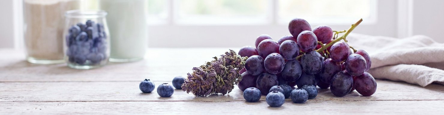 Profil aromatique de la Purple Punch aux notes de raisin et de fruits rouges