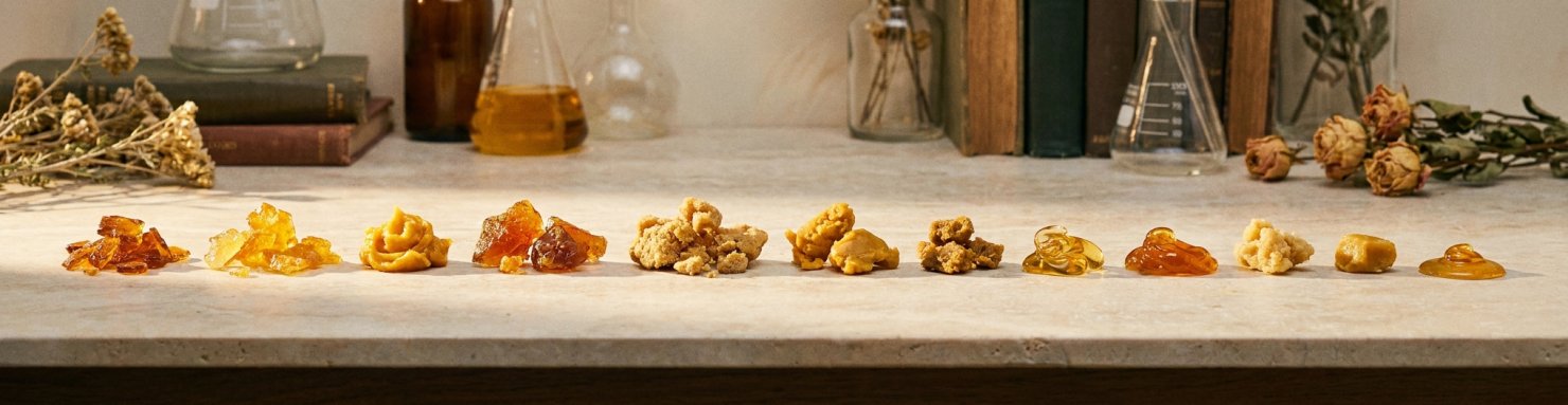 Échantillons de shatter wax crumble et rosin alignés pour illustrer la famille des concentrés