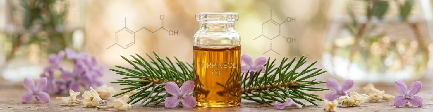 Propriétés physico-chimiques du terpinéol et structure moléculaire monoterpène