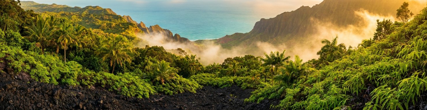 Terroir volcanique d'une vallée hawaïenne, berceau des sativas landraces du Pacifique